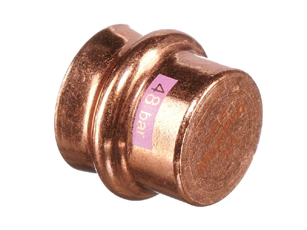 Reece B-MaxiPro Stop End 3/4" (Bag Of 2)