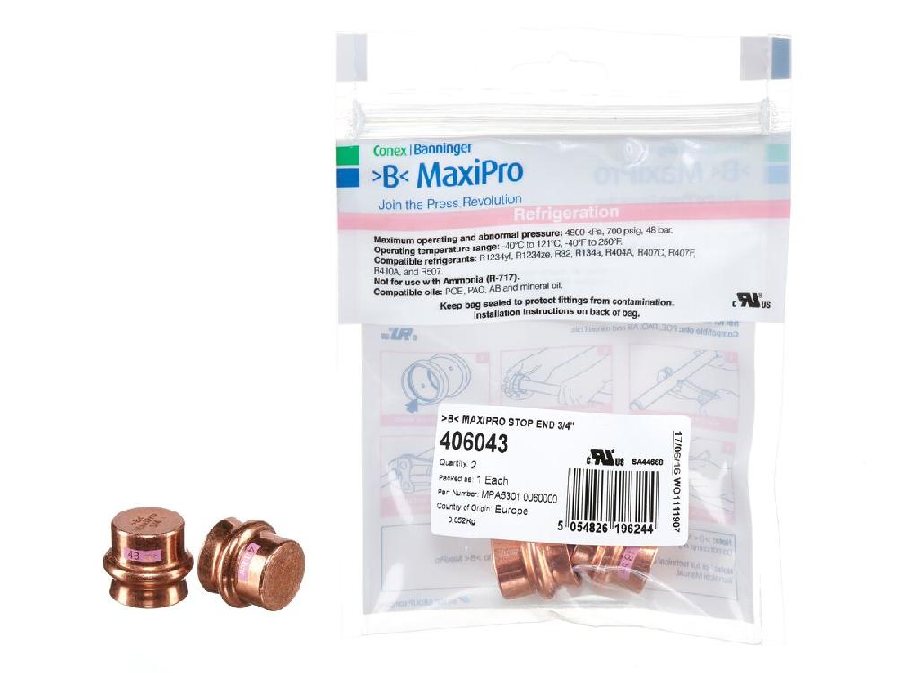 reece B-MaxiPro Stop End 3/4" (Bag of 2)