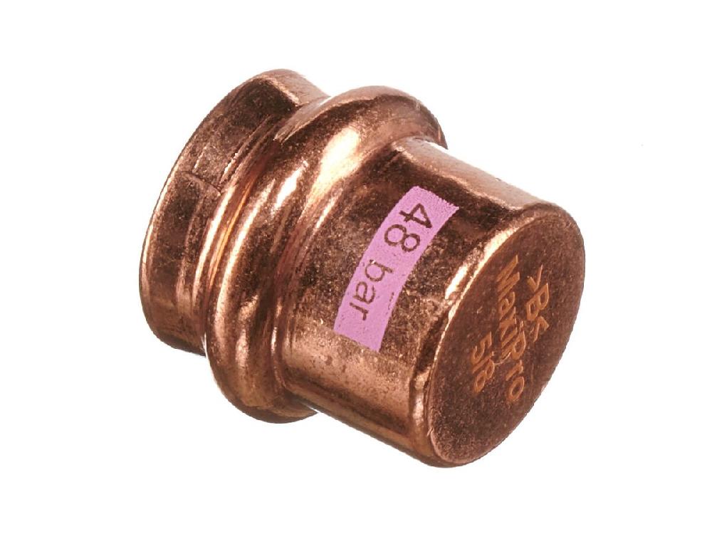 Reece B-MaxiPro Stop End 5/8" (Bag Of 2)