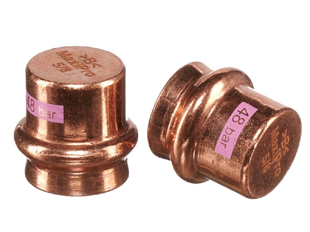Reece B-MaxiPro Stop End 5/8" (Bag Of 2)