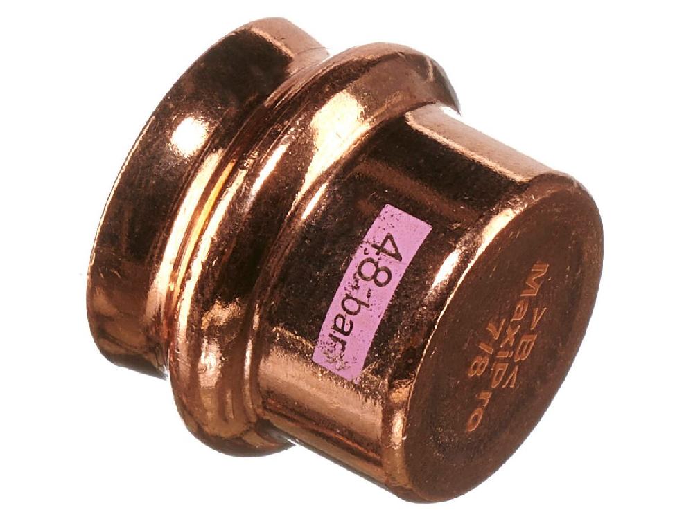 Reece B-MaxiPro Stop End 7/8" (Bag Of 2)