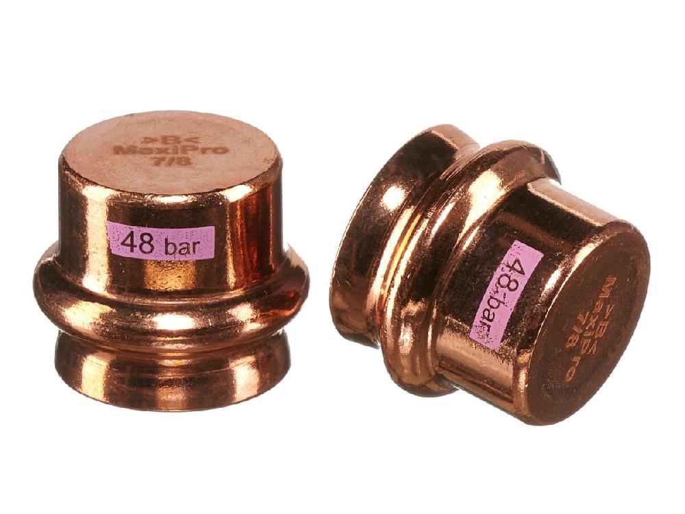 Reece B-MaxiPro Stop End 7/8" (Bag Of 2)