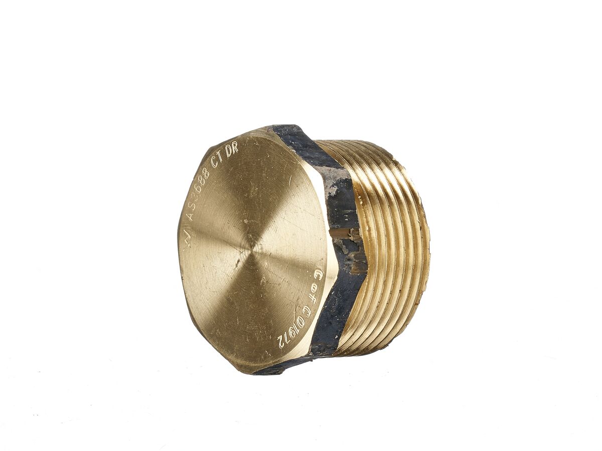 reece Brass Plug Hex 32mm