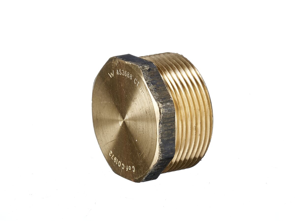 reece Brass Plug Hex 40mm