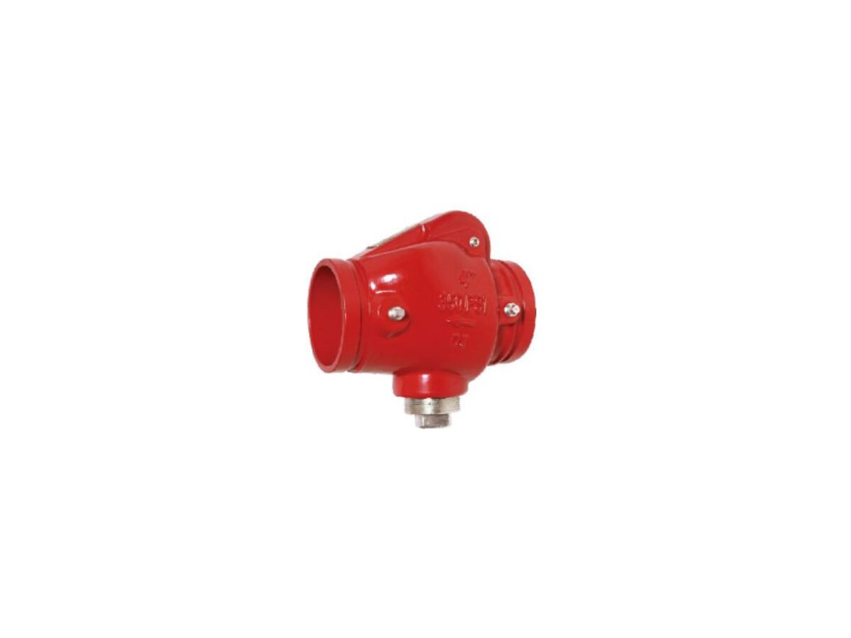 reece DI Swing Check Valve Roll Groove 80mm