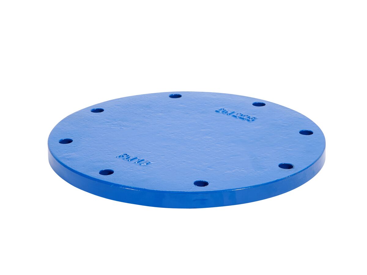 reece Ductile Iron Blank Flange PN16 B5 300mm