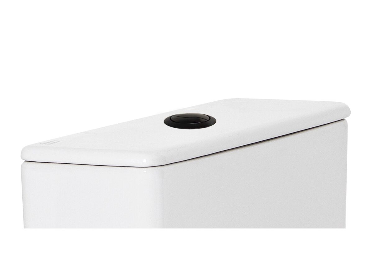 Reece Dura Dual Flush Button Matte Black