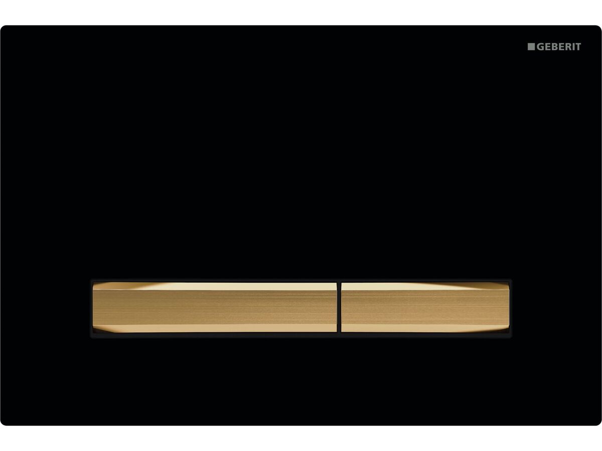 reece Geberit Sigma50 Black/Brass Button