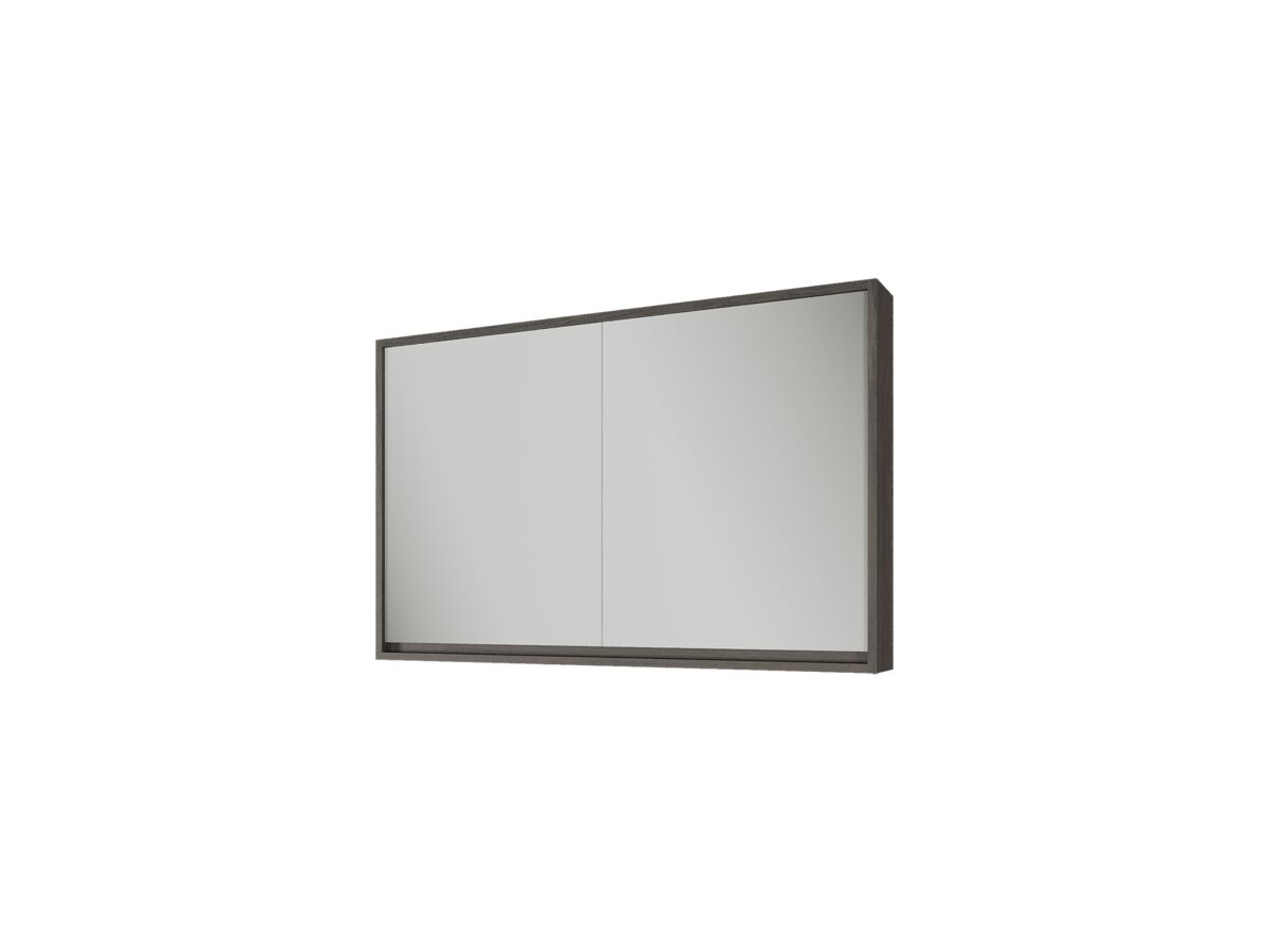 reece Kado Aspect 1200mm Mirror Cabinet Two Doors