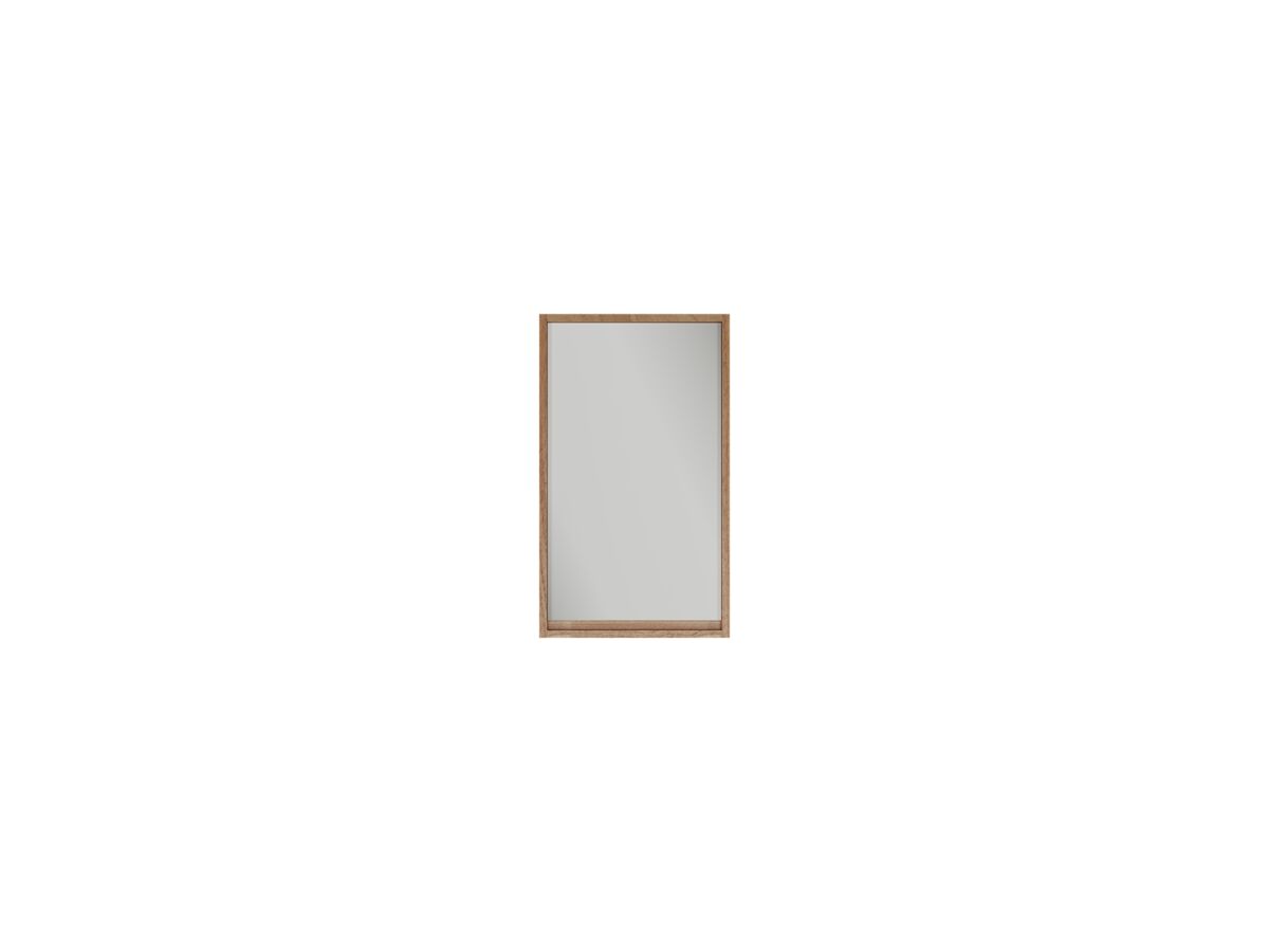 Reece Kado Aspect 450mm Mirror Cabinet One Door