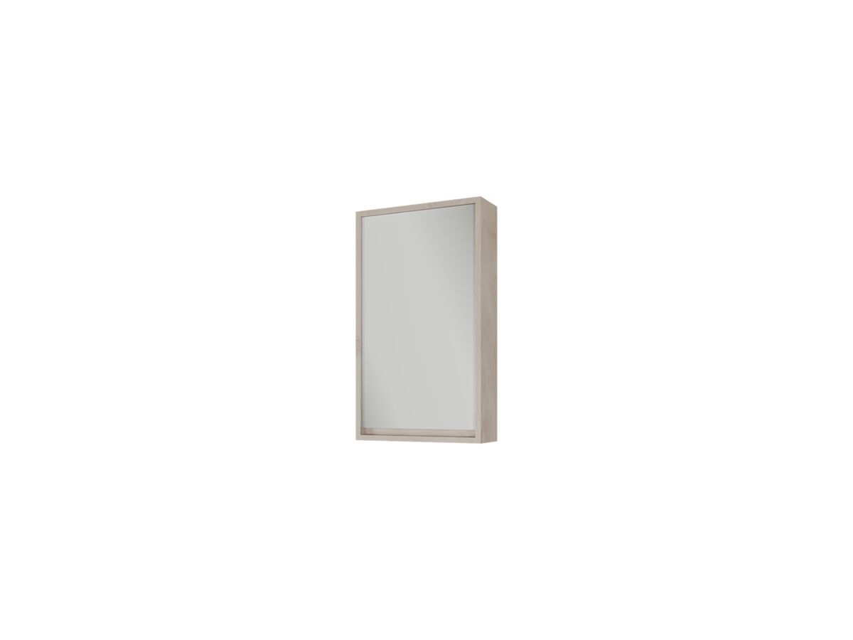 reece Kado Aspect 450mm Mirror Cabinet One Door
