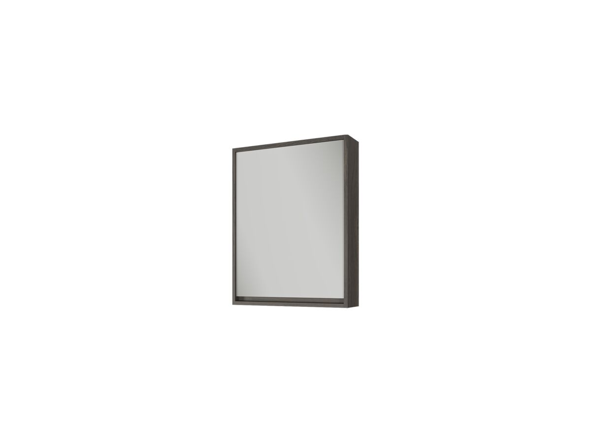 reece Kado Aspect 600mm Mirror Cabinet One Door