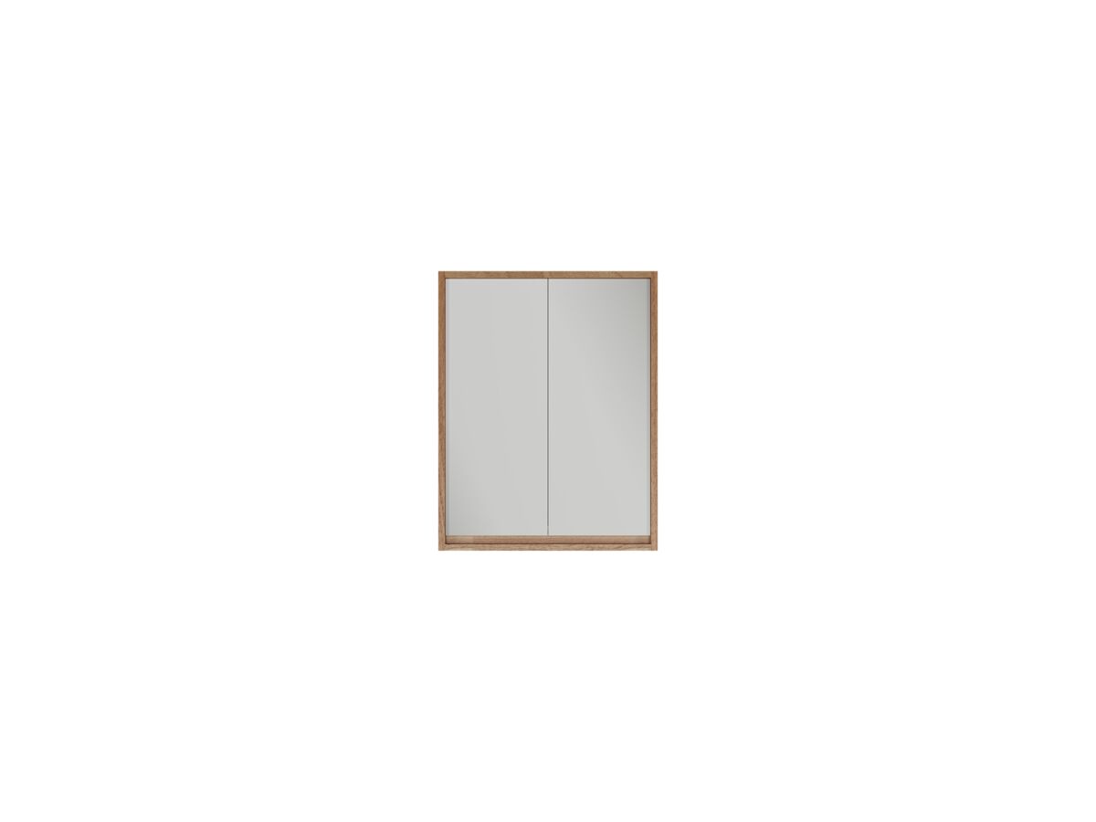 Reece Kado Aspect 600mm Mirror Cabinet Two Doors