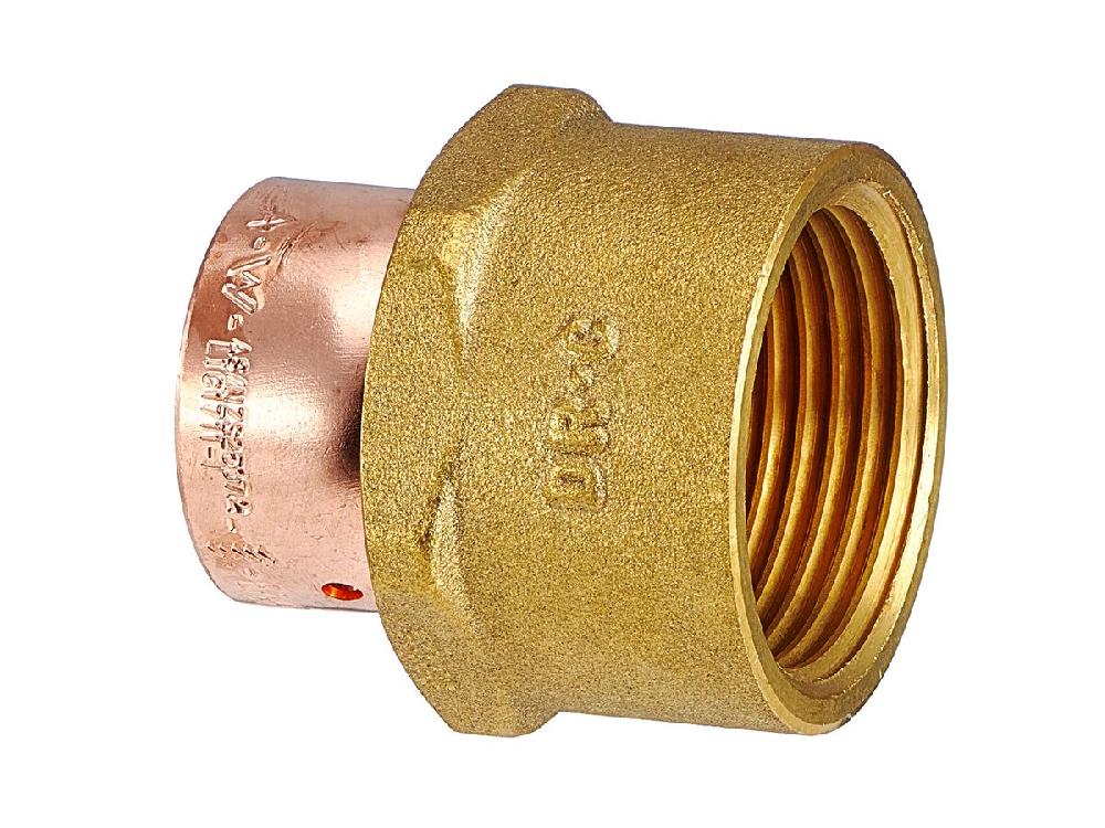 reece Lead Free Auspex Adaptor 25mm x 1" Female BSP