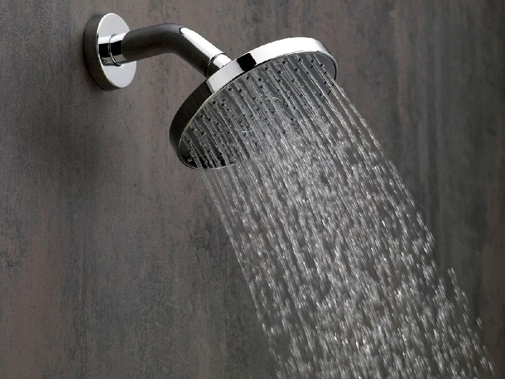 Reece Nikles Pure Wall Shower & Arm Chrome (3 Star)