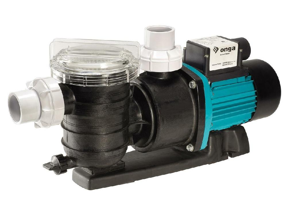 reece Pentair Leisuretime Pump 1100W