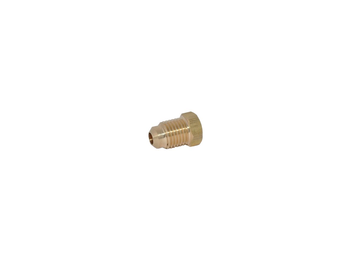 reece Refrigeration Brass Seal Plug 3/4" (Packet 1)