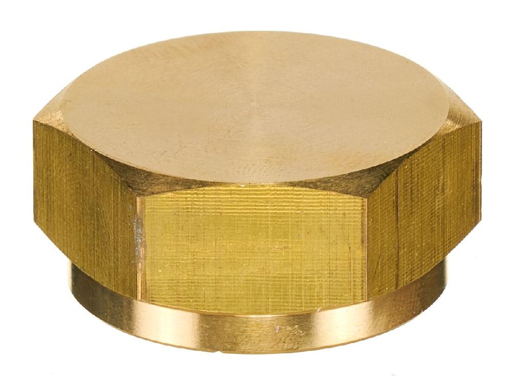 reece SKY Cylinder Cap 3/4"Fbsp (1)