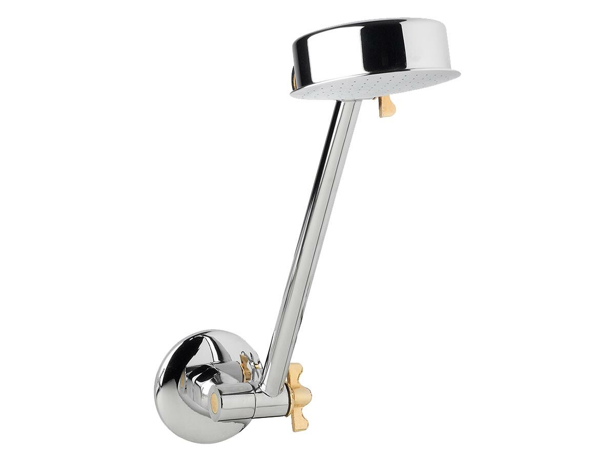 reece Standard Shower Arm & Rose Chrome/Gold (3 Star)