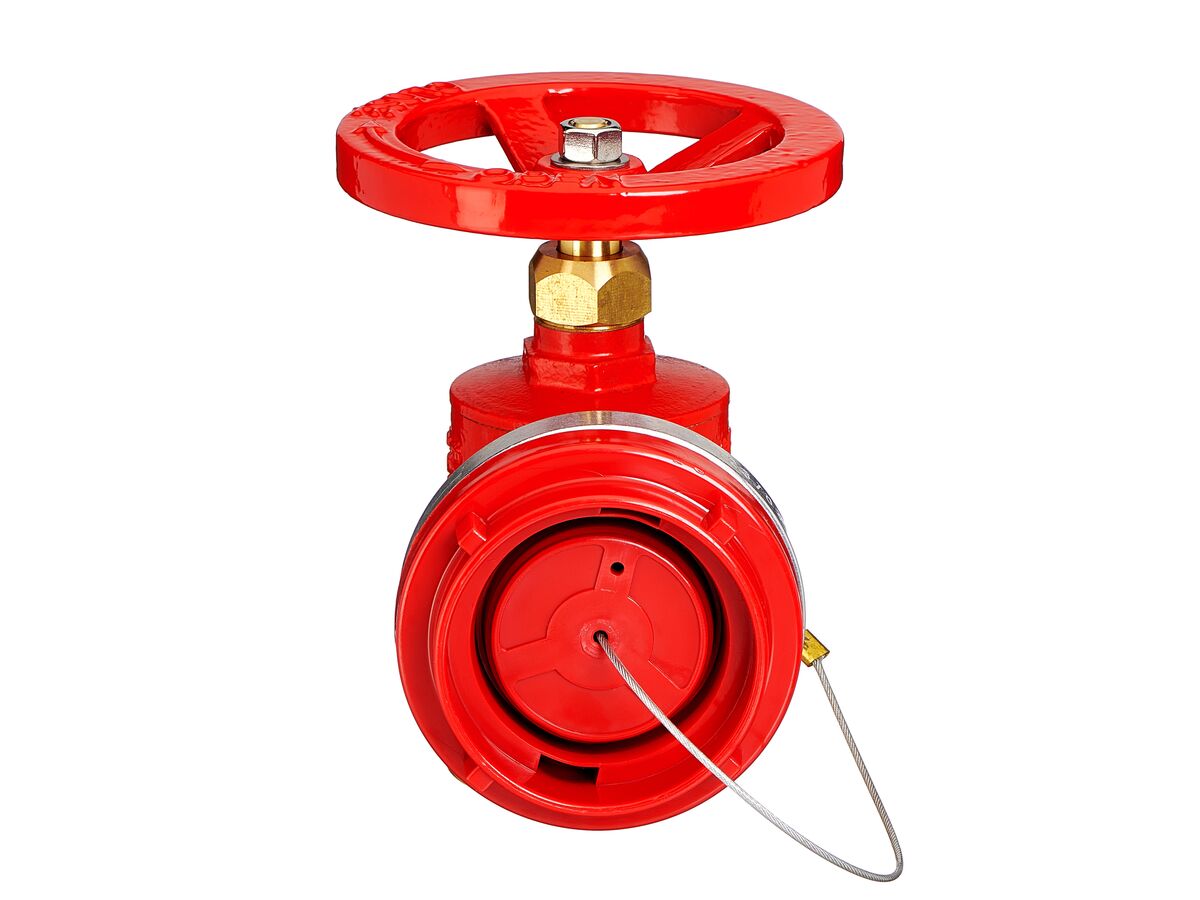 Reece Valfort Fire Hydrant Landing Valve SA & NSW
