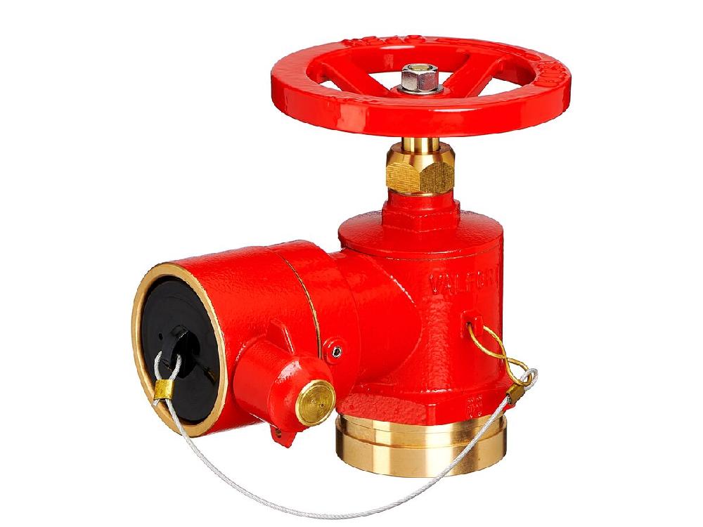 reece Valfort Fire Hydrant Landing Valve - WA/NT