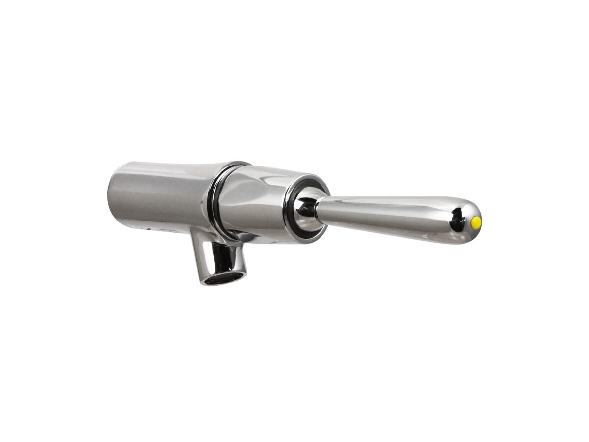 reece Wolfen Timed Flow Lever Bib Tap 65 (6 Star)