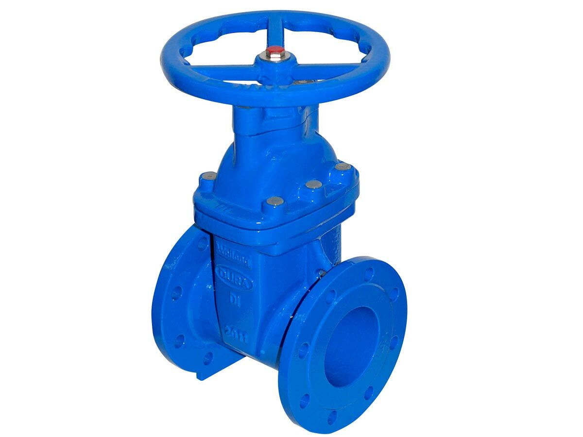 reece Resilient Seated Gate Valve PN16 Table E 100mm