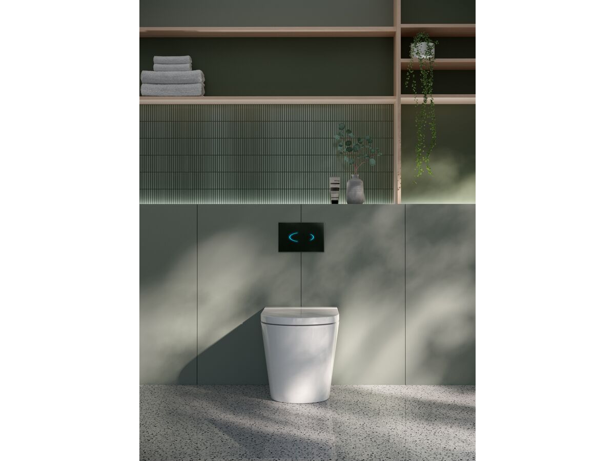 Reece Roca Inspira Rimless Back To Wall Pan Soft Close Quick Release Seat White (4 Star)