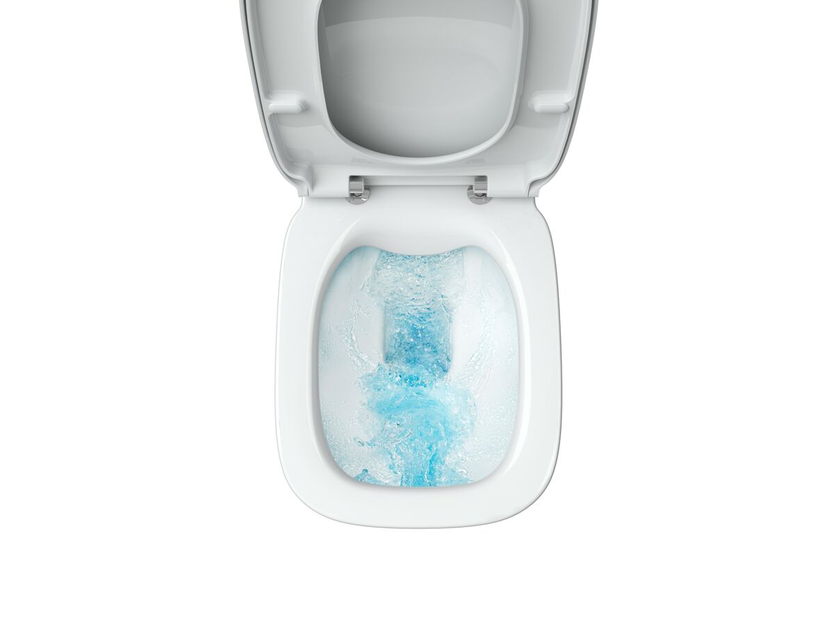 Reece Roca The Gap Rimless Back To Wall Pan Soft Close Quick Release (4 Star)