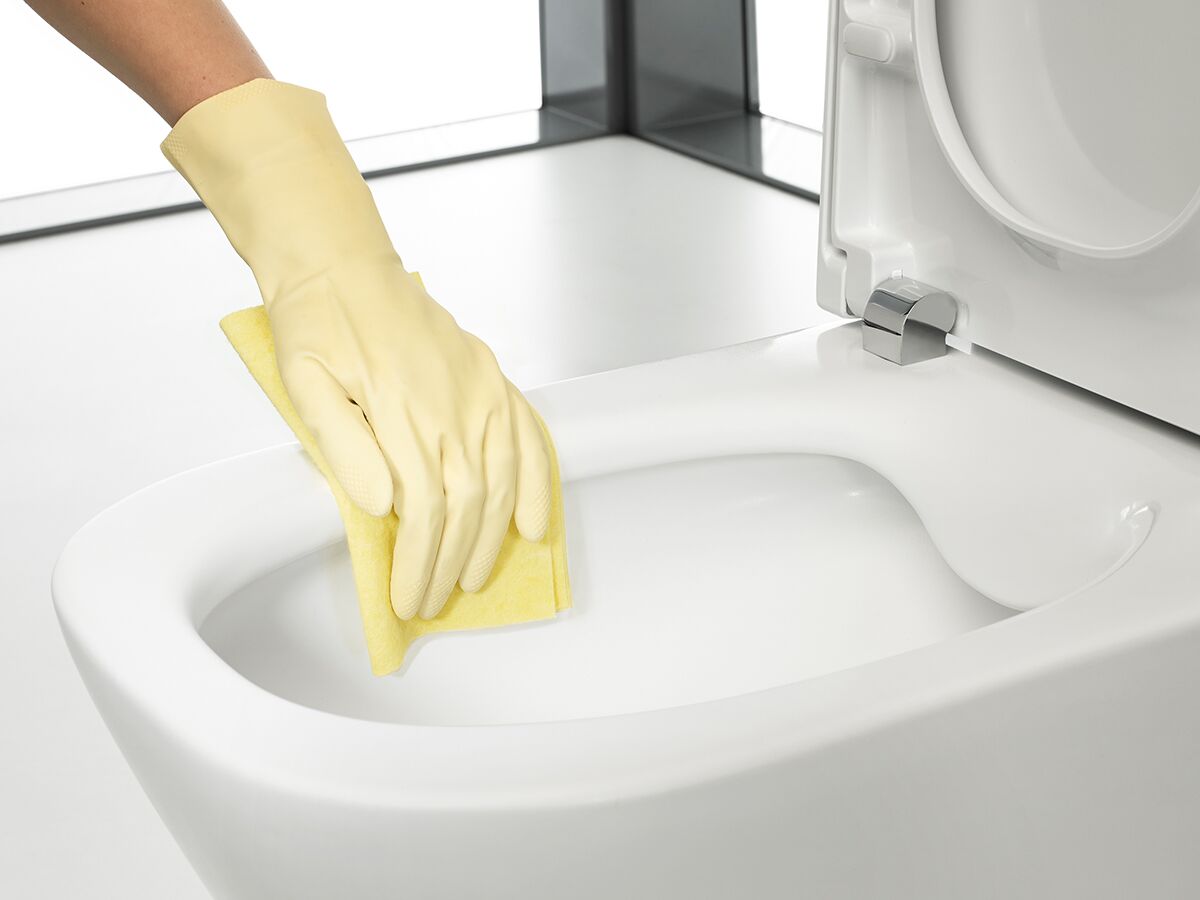 Reece Roca The Gap Rimless Back To Wall Pan Soft Close Quick Release (4 Star)