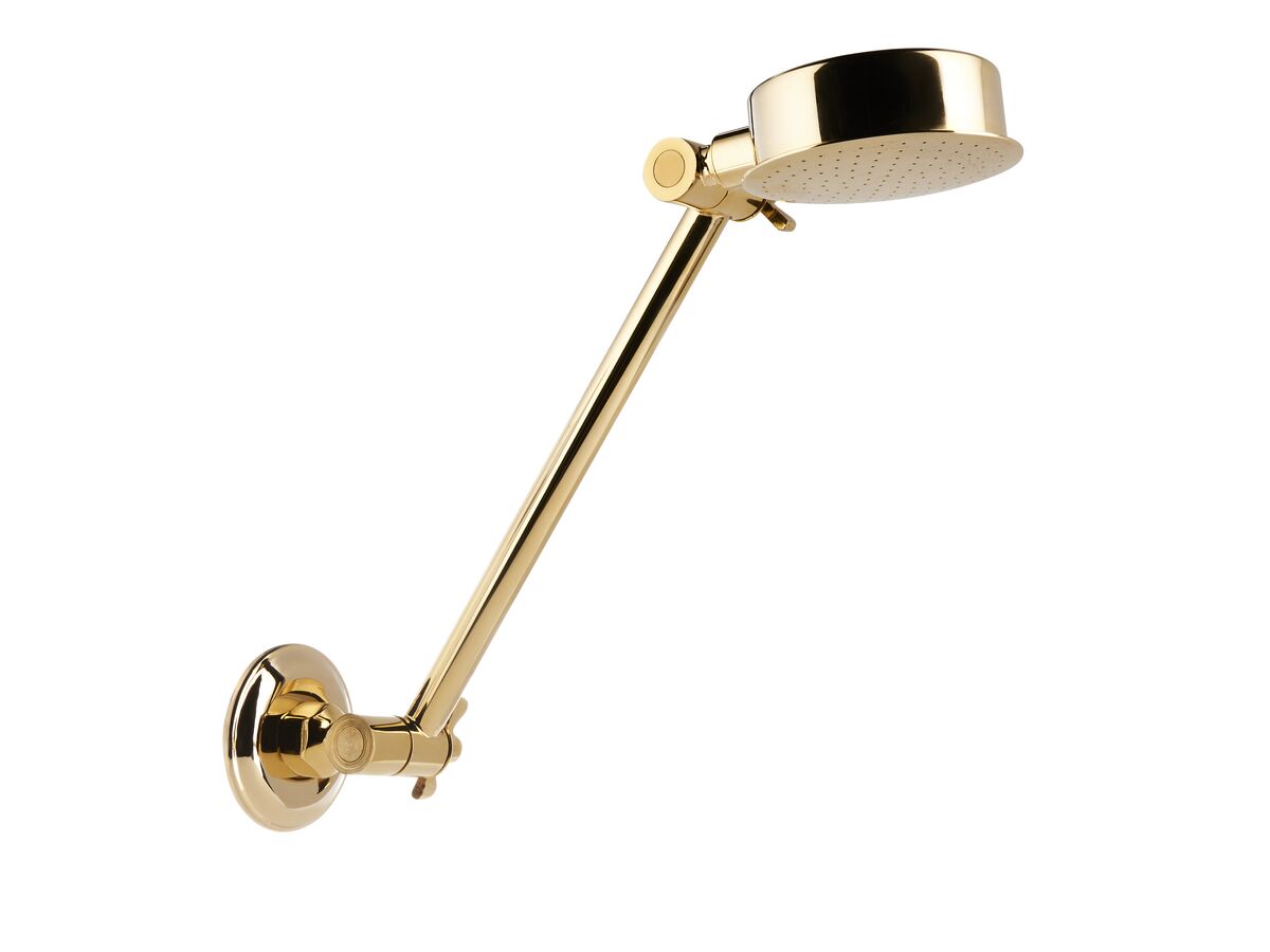 reece Standard All Directional Shower Arm & Rose Gold (3 Star)