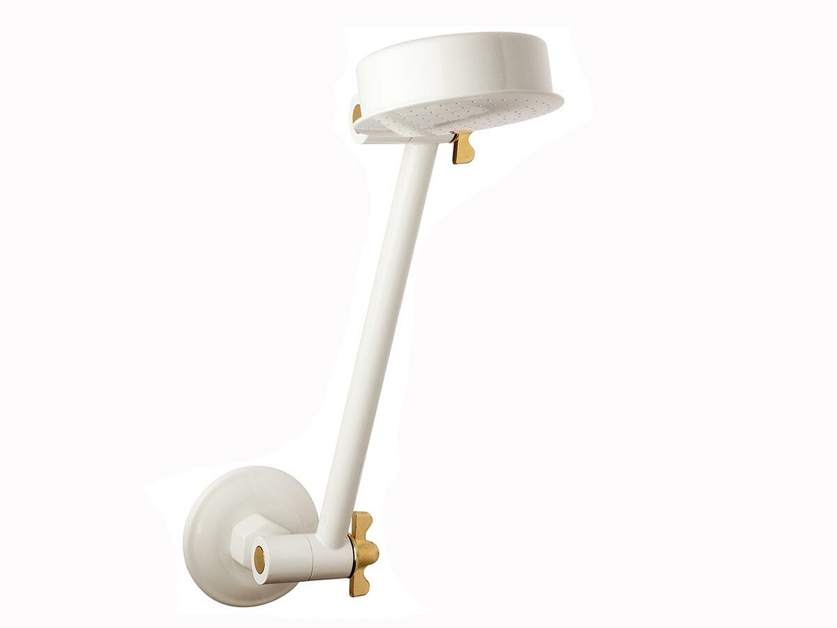 reece Standard All Directional Shower Arm & Rose White/Gold (3 Star)