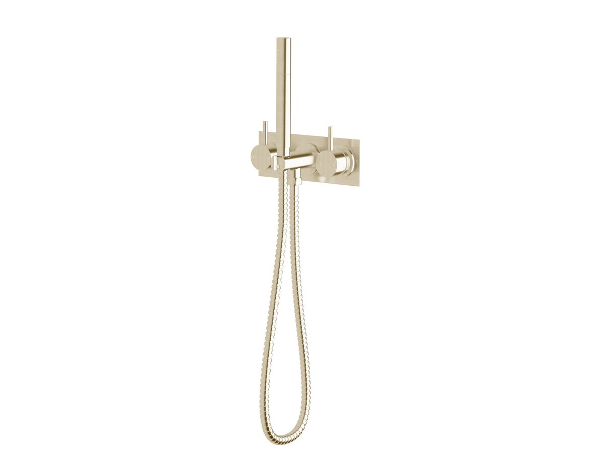 reece Sussex Scala Dual Mixer Tap Handshower System LUX PVD Brushed Platinum Gold (3 Star)