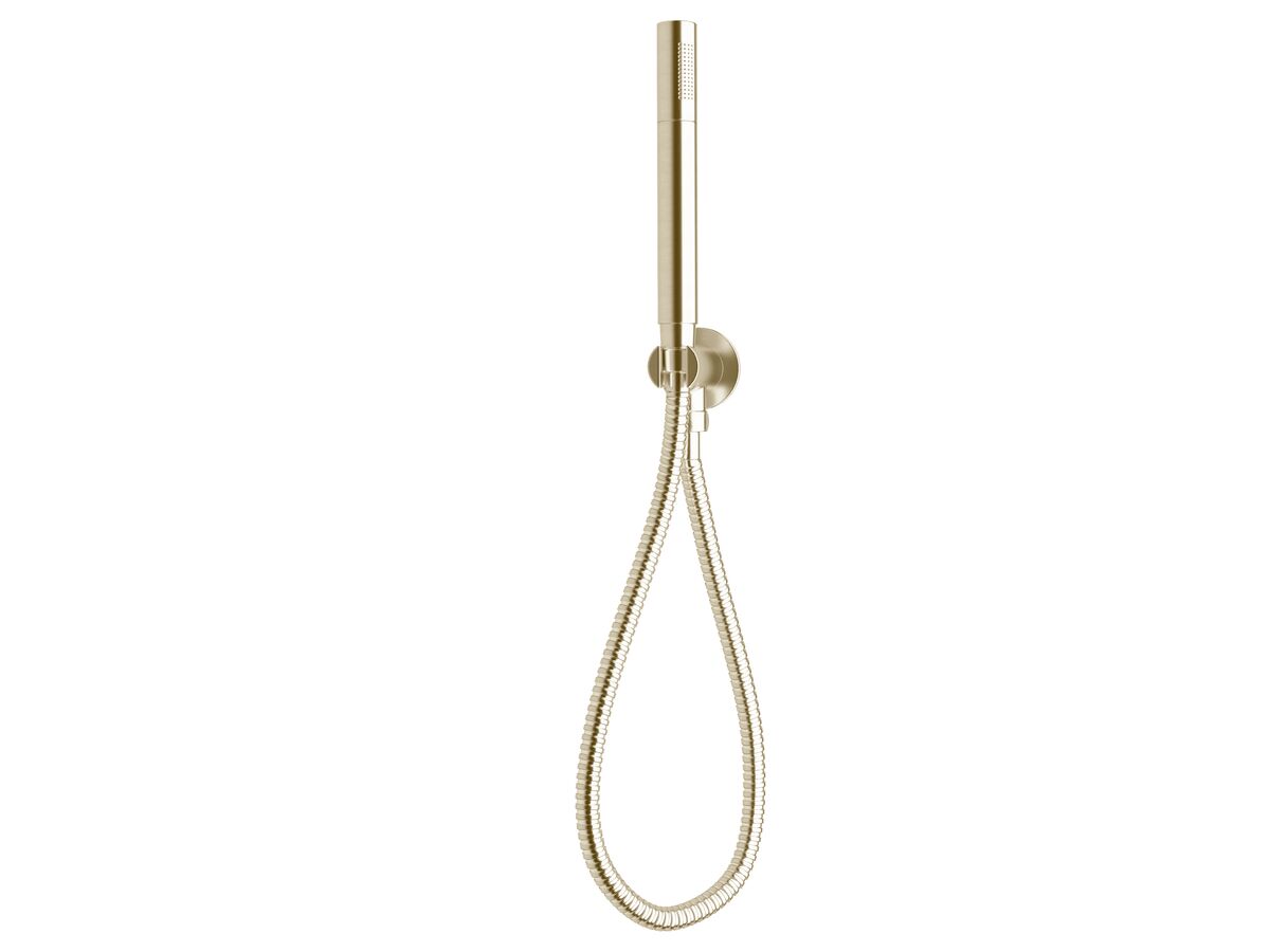 reece Sussex Scala Handshower with Water Inlet Wall Bracket LUX PVD Brushed Platinum Gold (3 Star)