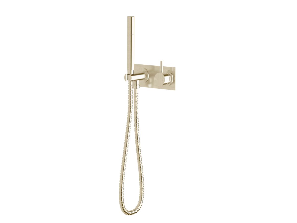 reece Sussex Scala Mixer Tap Handshower System LUX PVD Brushed Platinum Gold (3 Star)