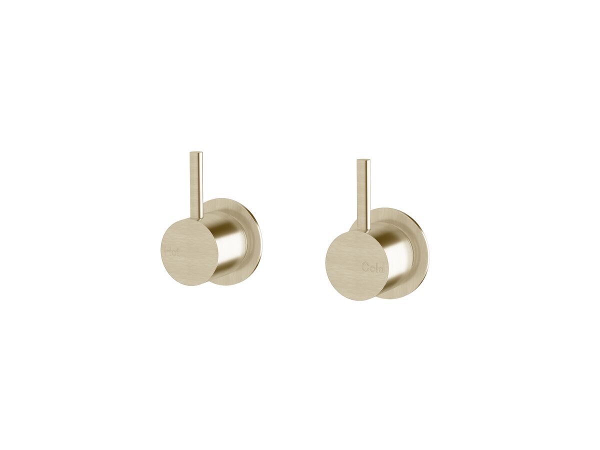 reece Sussex Scala Wall Top Assembly LUX PVD Brushed Platinum Gold
