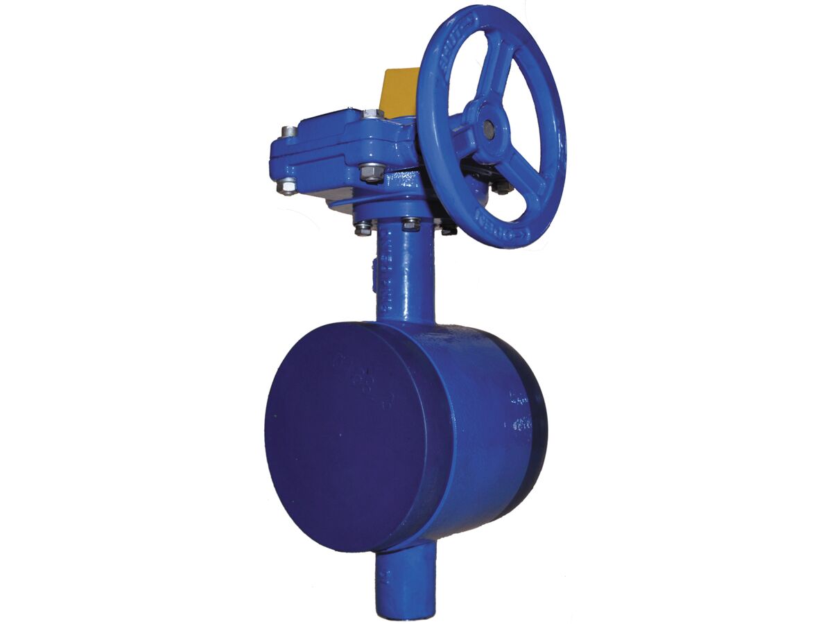 reece Victaulic Series 70B Butterfly Valve Watermark 50mm (60)