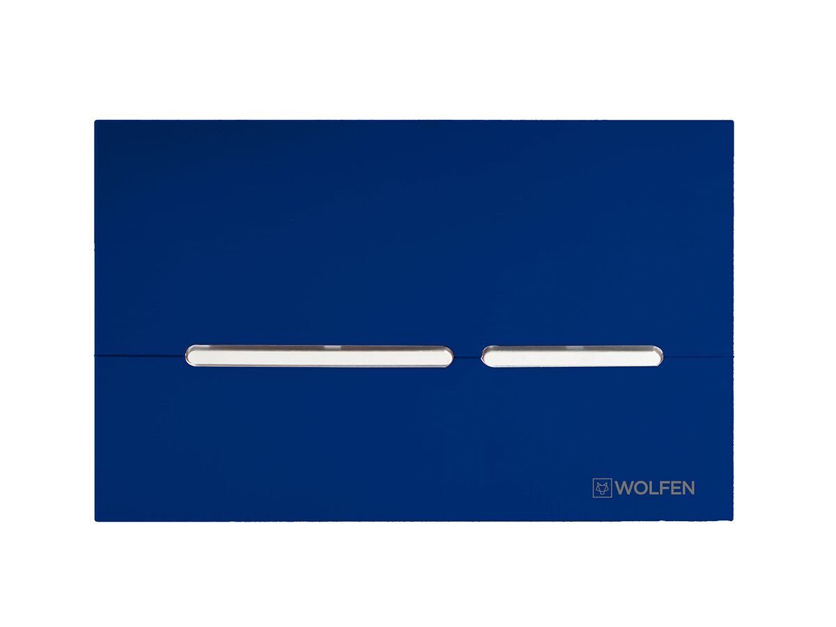 Reece Wolfen Ambulant Back To Wall Inwall Rimless Toilet Suite Single Flap Seat Blue (4 Star)